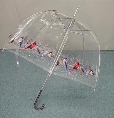 TÜV Otomatik Açık Şeffaf POE Çocuk Kompakt Şemsiye 100cm