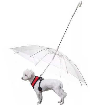 Köpeklerin ıslanmasını önlemek için şemsiye