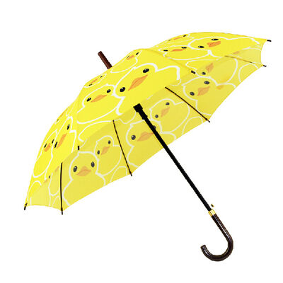 Paketleme Tasarımı Reklam Kampanyası ve Ürün Tanıtım Stratejileri için Özelleştirilebilir Baskı Karikatür Illustrasyonları